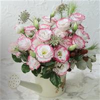Rosita 3 Pink Picotee Cut Flower Lisianthus