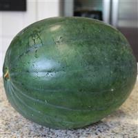 Jade Star Watermelon