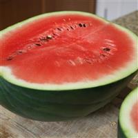 Jade Star Watermelon