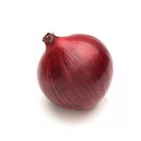 Red Nugent Onion
