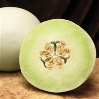 Dulce Nectar Melon