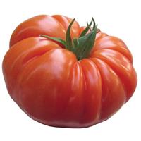Buffalosteak Tomato