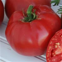 Pruden's Purple Tomato