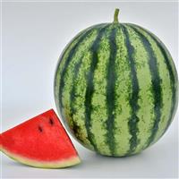 Mambo Watermelon