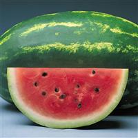 Sunsugar Watermelon