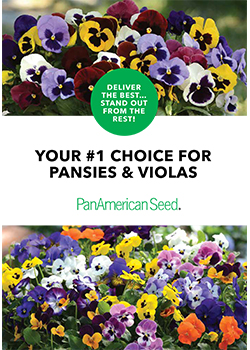  #1 Choice for Pansies & Violas
