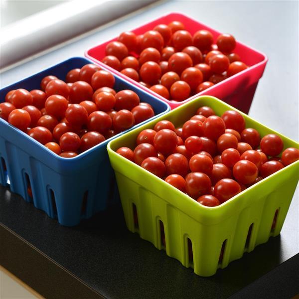 Candyland Red Tomato - Container