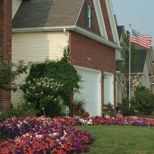 Easy Wave® The Flag Mixture Spreading Petunia - Landscape