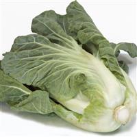 Sweet Thang Cabbage