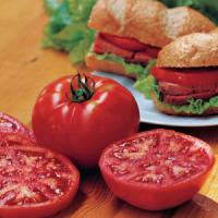 Steak Sandwich Tomato