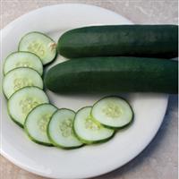 Slice More Cucumber