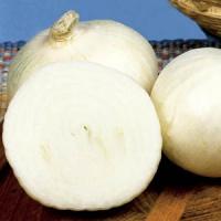 White Sweet Spanish Onion