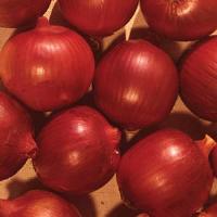 Ruby Onion