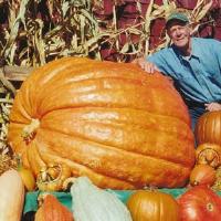 Dill'S Atlantic Giant Pumpkin