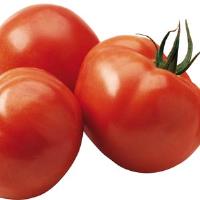 Magnificent Tomato