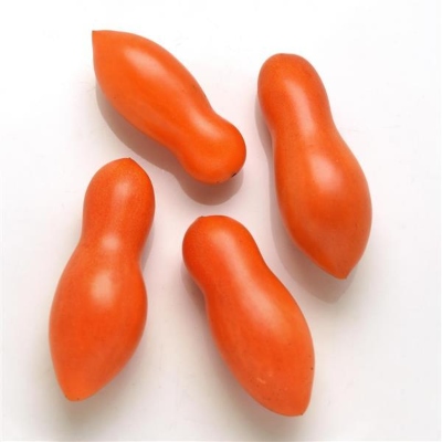 Elongated, red, dipping-shaped tomatoes
