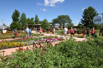 People enjoying an outdoor garden