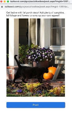 Fall decor and black cat in a social media post
