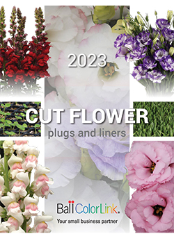 2023 Cut Flower plugs and liners Catalog