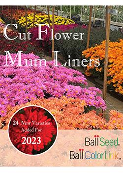 2023<br>Mum Liners