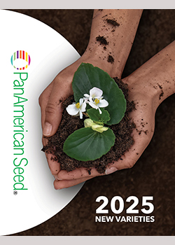 2025 New Varieties<br>PanAmerican Seed