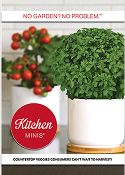 2023 Kitchen Minis Brochure