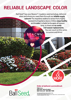 Print Ad - Beacon Impatiens