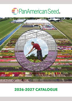 2026-2027<br>PanAmerican Seed