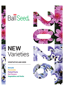 2026 Ball Seed<br>New Varieties