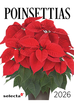 2026<br>Selecta One Poinsettia