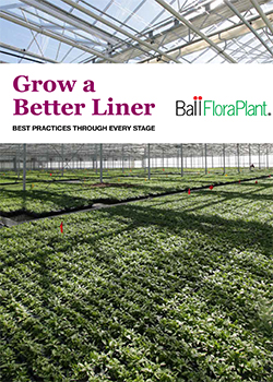 Grow a Better Liner<br>Ball FloraPlant