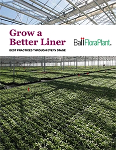 Grow a Better Liner Resource Available Online