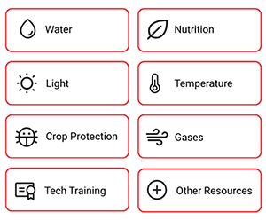 BallSeed.com Newly Redesigned to Support Every Successful Season