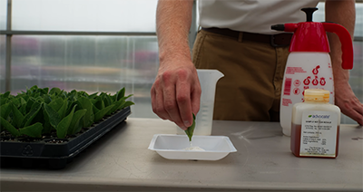 Training Video: Why Use Rooting Hormones