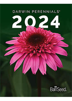 2024 Darwin Perennials