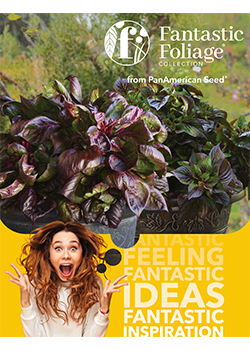 Fantastic Foliage®<br/>Brochure