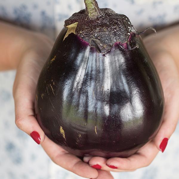 Meatball Eggplant - Bloom
