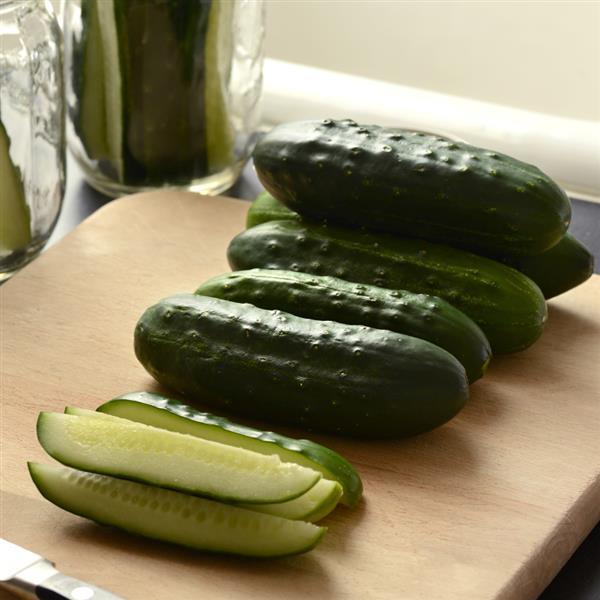 Fresh Pickles Cucumber - Bloom