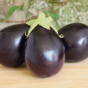 Early Midnight Eggplant - Bloom