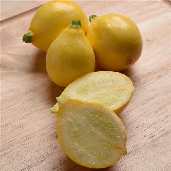 Lemon Drop Squash - Bloom