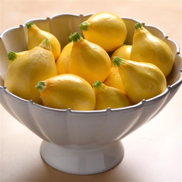 Lemon Drop Squash - Container
