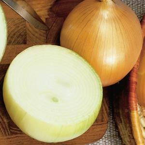 Yellow Sweet Spanish Onion - Container