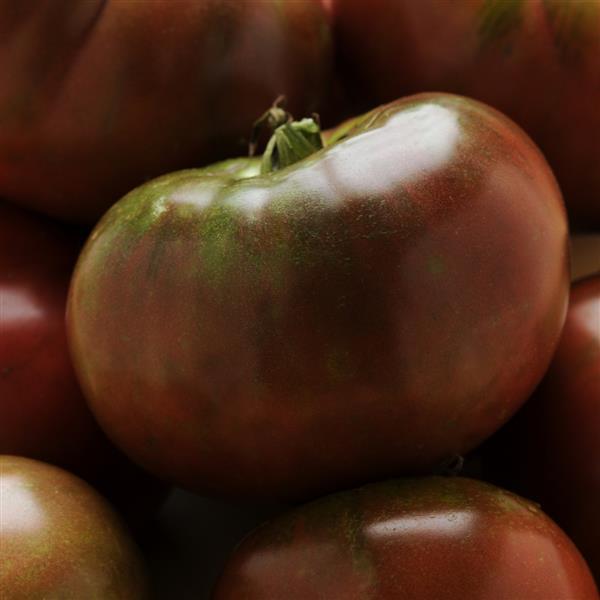 Black Krim Tomato - Bloom