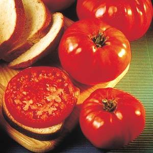 Delicious Tomato - Container