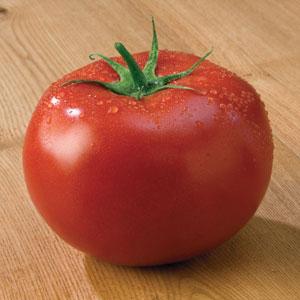 Tasti-Lee® Tomato - Bloom