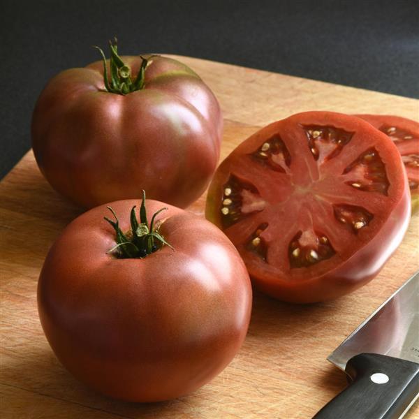 DarkStar Tomato - Container
