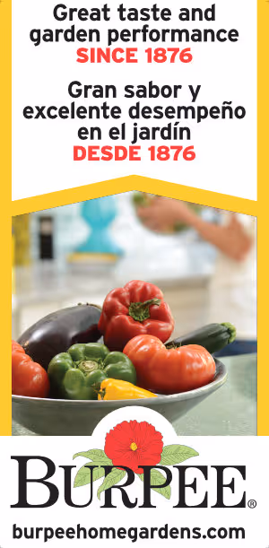 Banner - Standard Vegetables