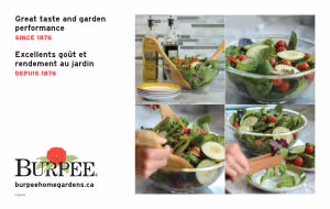 Bench Card - Standard Salad