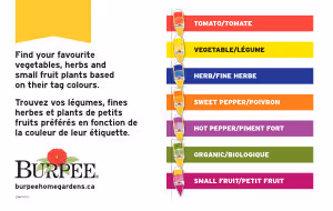 Bench Card - Color Coding