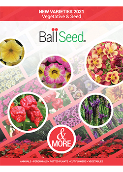 seed ball catalog brochures 2021 catalogs ballseed